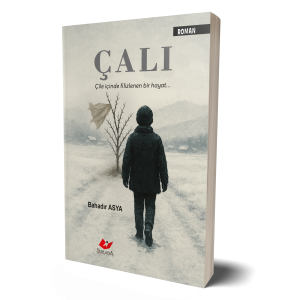 Çalı- 2035 Çalı- 2035