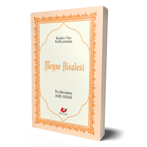 Meyve Risalesi- 9482