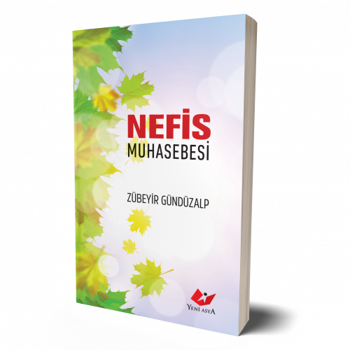 Nefis Muhasebesi- 6986 Zübeyir Gündüzalp